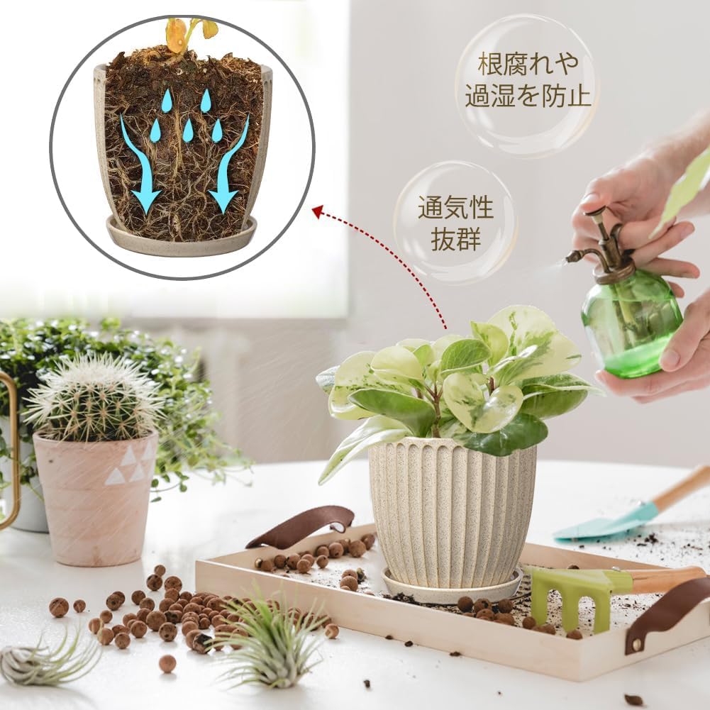 Amazon.co.jp: Villa Como 植木鉢 陶器鉢 プランター 4号 5号 2個入り